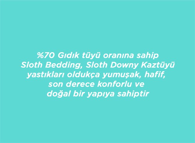 Slothy Down Kaz Tüyü Yastık
