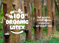 Natural Latex Mattresses